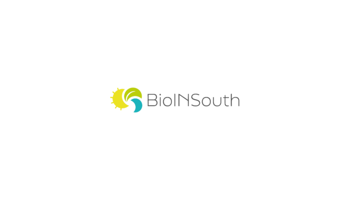 BIOINSOUTH - Blog