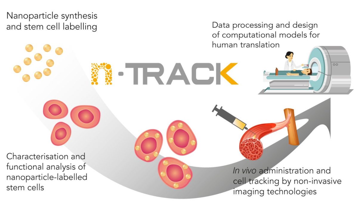 ntrack process