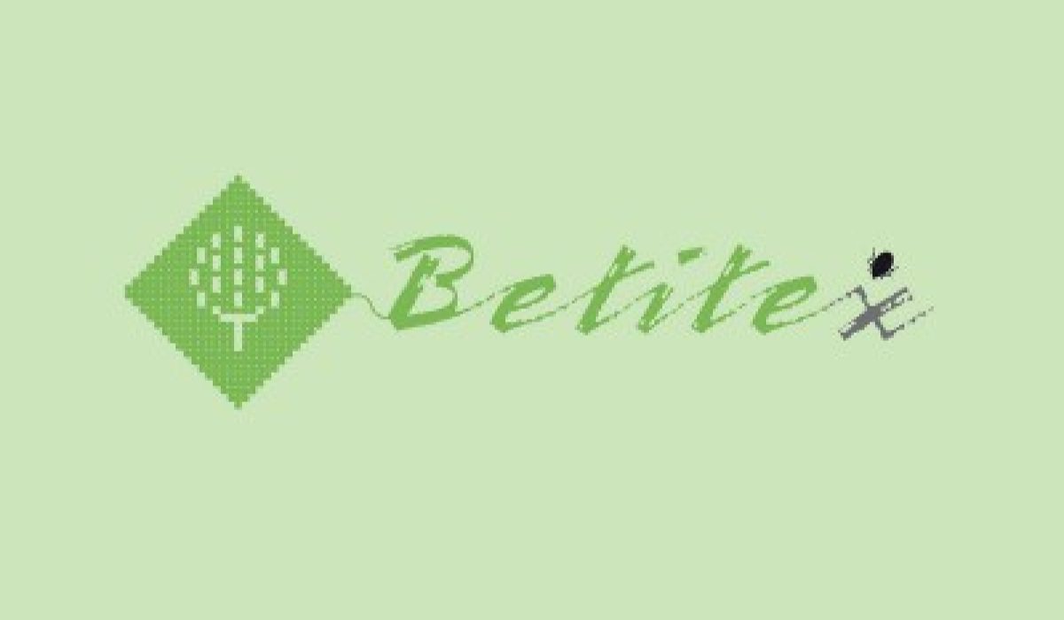 proyecto-betitex